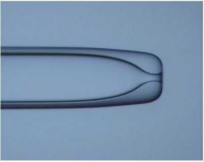 Micropipetas-de-Holding